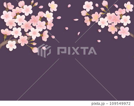 桜の花びらイラスト背景素材 109549972