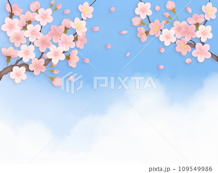 青空に桜の花のある風景 青空に桜の花のある風景 109549986