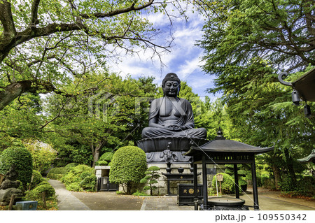 東京大仏　乗蓮寺　大仏　東京都板橋区 109550342