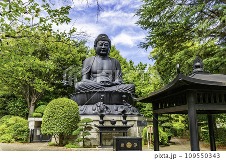 東京大仏　乗蓮寺　大仏　東京都板橋区 109550343