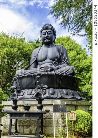 東京大仏　乗蓮寺　大仏　東京都板橋区 109550344