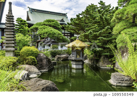 東京大仏　乗蓮寺　弁天堂　東京都板橋区 109550349