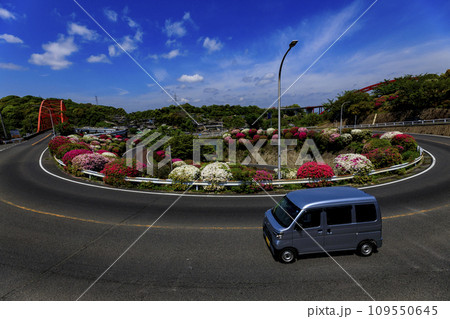 ツツジ咲く音戸大橋のループ道路 109550645