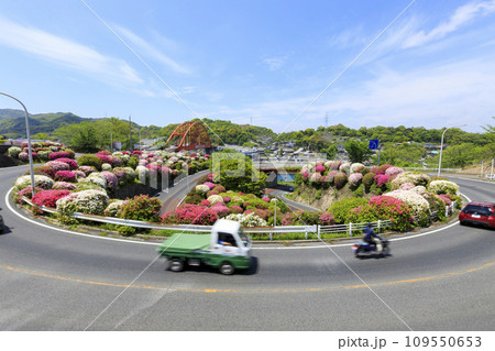 ツツジ咲く音戸大橋のループ道路 ツツジ咲く音戸大橋のループ道路 109550653