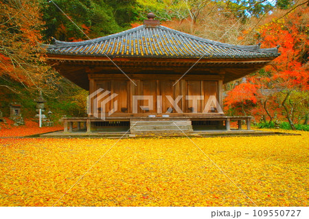秋の富貴寺(国宝・豊後高田市) 秋の富貴寺(国宝・豊後高田市) 109550727