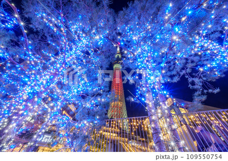 「東京都」東京スカイツリーとクリスマスライトアップ 「東京都」東京スカイツリーとクリスマスライトアップ 109550754