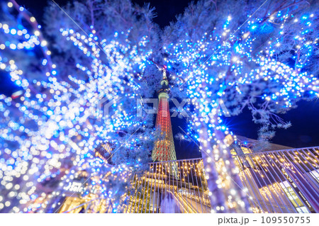 「東京都」東京スカイツリーとクリスマスライトアップ 109550755