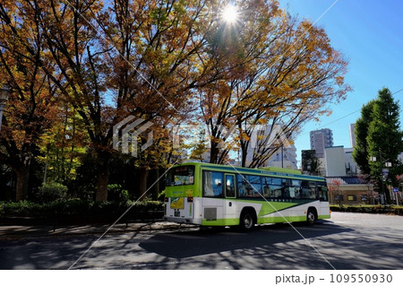 東京都板橋区 ときわ台駅前ロータリー 東京都板橋区 ときわ台駅前ロータリー 109550930