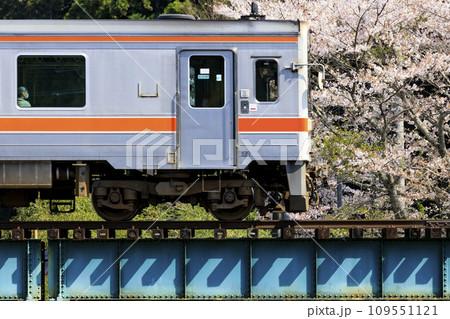 名松線と桜 109551121