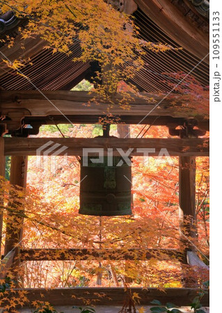 白峯寺の紅葉2023【香川県坂出市】2 白峯寺の紅葉2023【香川県坂出市】2 109551133
