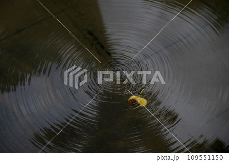 Ripples in the Surface of a Puddle 109551150