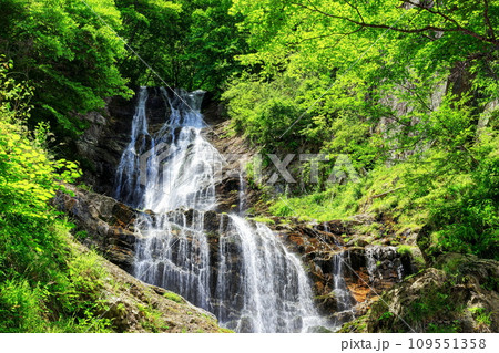 夏の唐沢の滝（木曽） 109551358