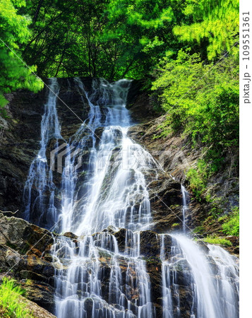 夏の唐沢の滝（木曽） 109551361