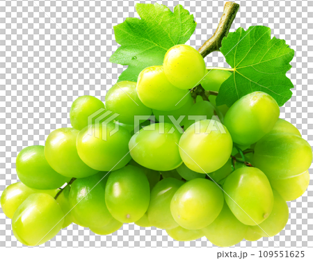 Shine Muscat Grape Fruit Fruit AI generated image 109551625