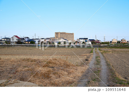 初冬の田園風景 伊佐沼湖畔 川越市 初冬の田園風景 伊佐沼湖畔 川越市 109551648