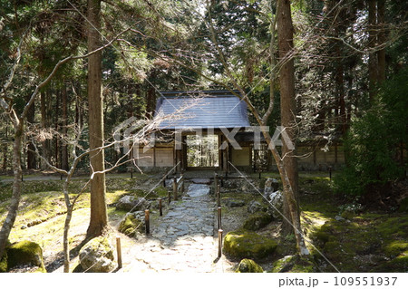 常照皇寺山門 109551937