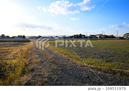 初冬の田園風景　伊佐沼湖畔　川越市　 109551979