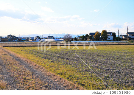 初冬の田園風景 伊佐沼湖畔 川越市 初冬の田園風景 伊佐沼湖畔 川越市 109551980