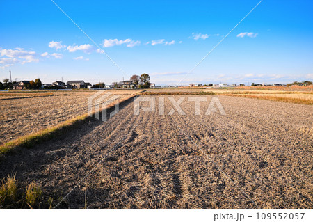 初冬の田園風景　伊佐沼湖畔　川越市　 109552057