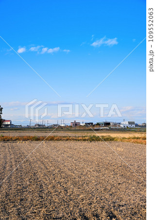 初冬の田園風景 伊佐沼湖畔 川越市 初冬の田園風景 伊佐沼湖畔 川越市 109552063