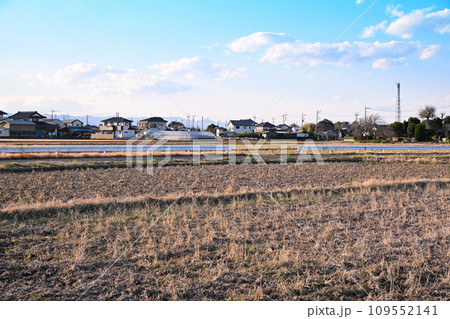初冬の田園風景 伊佐沼湖畔 川越市 初冬の田園風景 伊佐沼湖畔 川越市 109552141