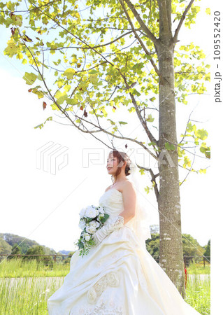 ウエディングドレス姿のソロウエディング、ウエディングフォト ウエディングドレス姿のソロウエディング、ウエディングフォト 109552420