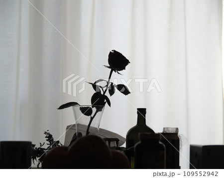 薔薇のモノクロシルエット 109552942