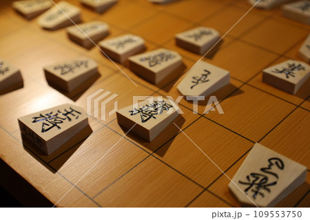 将棋(名人戦第2局投了棋譜) 将棋(名人戦第2局投了棋譜) 109553750