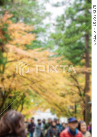 紅葉見物する観光客イメージ（全体的なボケ） 109554279