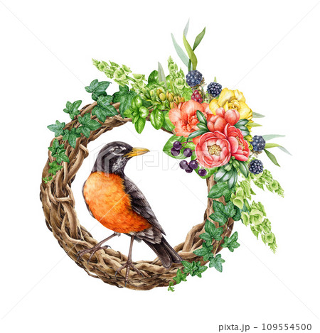 Floral decor wreath with bird. Watercolor vintage style painted illustration. Hand drawn rustic decoration. Vine twisted wreath with garden flowers, ivy leaves, berries, robin bird. White background 109554500