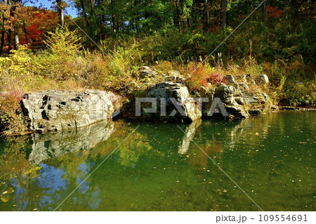埼玉県嵐山町 紅葉の武蔵嵐山渓谷 埼玉県嵐山町 紅葉の武蔵嵐山渓谷 109554691