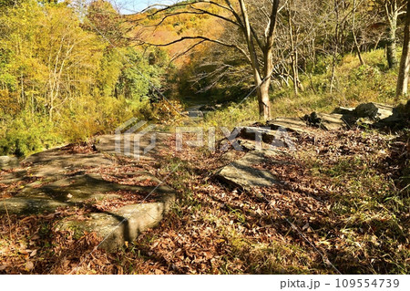 埼玉県嵐山町 紅葉の武蔵嵐山渓谷の岩畳 埼玉県嵐山町 紅葉の武蔵嵐山渓谷の岩畳 109554739