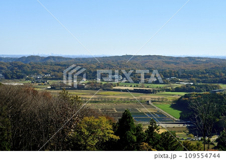 埼玉県嵐山町　紅葉の武蔵嵐山渓谷の太平山山頂から見る風景 109554744