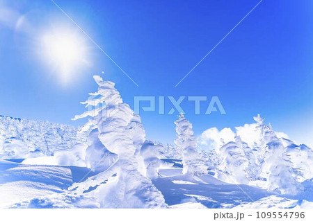 青空と蔵王の樹氷　スノーモンスター　山形県山形市 109554796