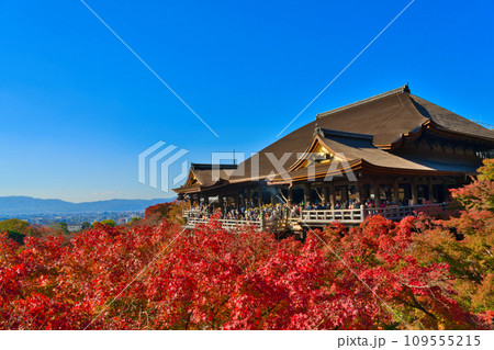 【京都府】11月・紅葉時期に大勢の観光客で賑わう清水寺 109555215