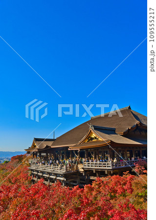 【京都府】11月・紅葉時期に大勢の観光客で賑わう清水寺 【京都府】11月・紅葉時期に大勢の観光客で賑わう清水寺 109555217