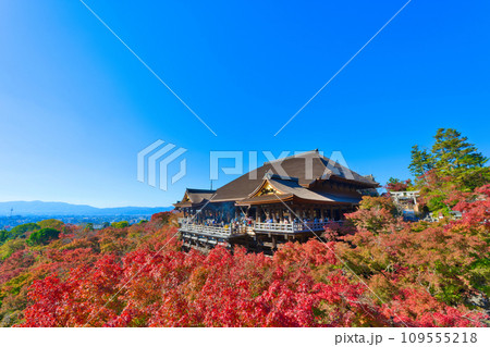 【京都府】11月・紅葉時期に大勢の観光客で賑わう清水寺 【京都府】11月・紅葉時期に大勢の観光客で賑わう清水寺 109555218
