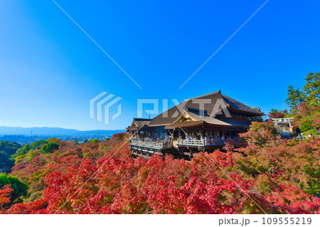 【京都府】11月・紅葉時期に大勢の観光客で賑わう清水寺 109555219