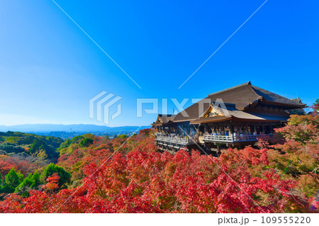 【京都府】11月・紅葉時期に大勢の観光客で賑わう清水寺 109555220
