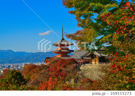 【京都府】11月・紅葉時期に大勢の観光客で賑わう清水寺 【京都府】11月・紅葉時期に大勢の観光客で賑わう清水寺 109555273