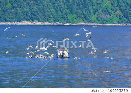 Tranquil Scene: Fishermen Sailing on an Aluminum Boat in the Norwegian Sea 109555279