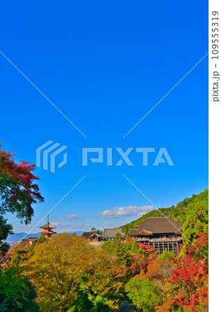 【京都府】11月・紅葉時期に大勢の観光客で賑わう清水寺 109555319