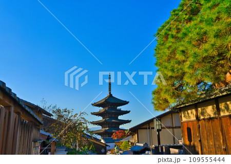 【京都府】11月・紅葉時期に大勢の観光客で賑わう京都の街並み 【京都府】11月・紅葉時期に大勢の観光客で賑わう京都の街並み 109555444