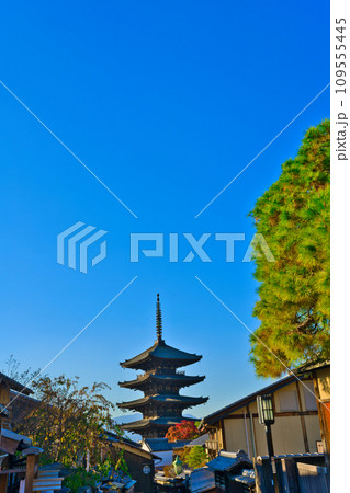 【京都府】11月・紅葉時期に大勢の観光客で賑わう京都の街並み 109555445