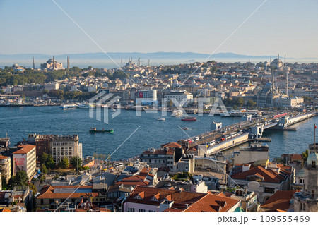 Aerial cityscape view of Istanbul, Turkey from Galata Tower 109555469