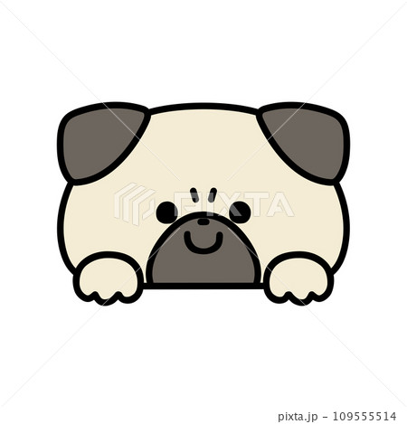 ひょっこり顔を出すかわいいパグ 109555514