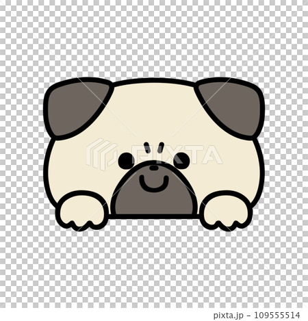 ひょっこり顔を出すかわいいパグ 109555514