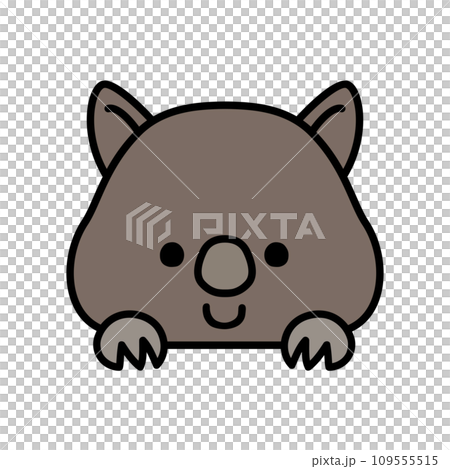 ひょっこり顔を出すかわいいウォンバット ひょっこり顔を出すかわいいウォンバット 109555515