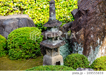 一休寺の北庭 109555659