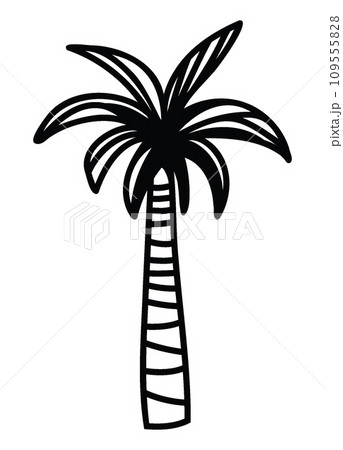 Date palm, line-art vector illustration Date palm, line-art vector illustration 109555828